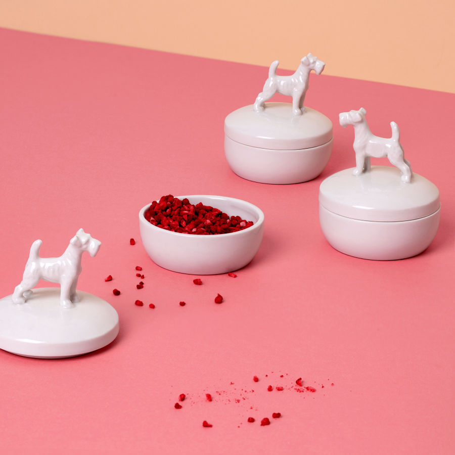 Schnauzer Porzellandose, feinesweißes Berlin – handgemachtes Designprodukt mit Tierfigur, gefertigt in der Manufaktur von Katy Jung
