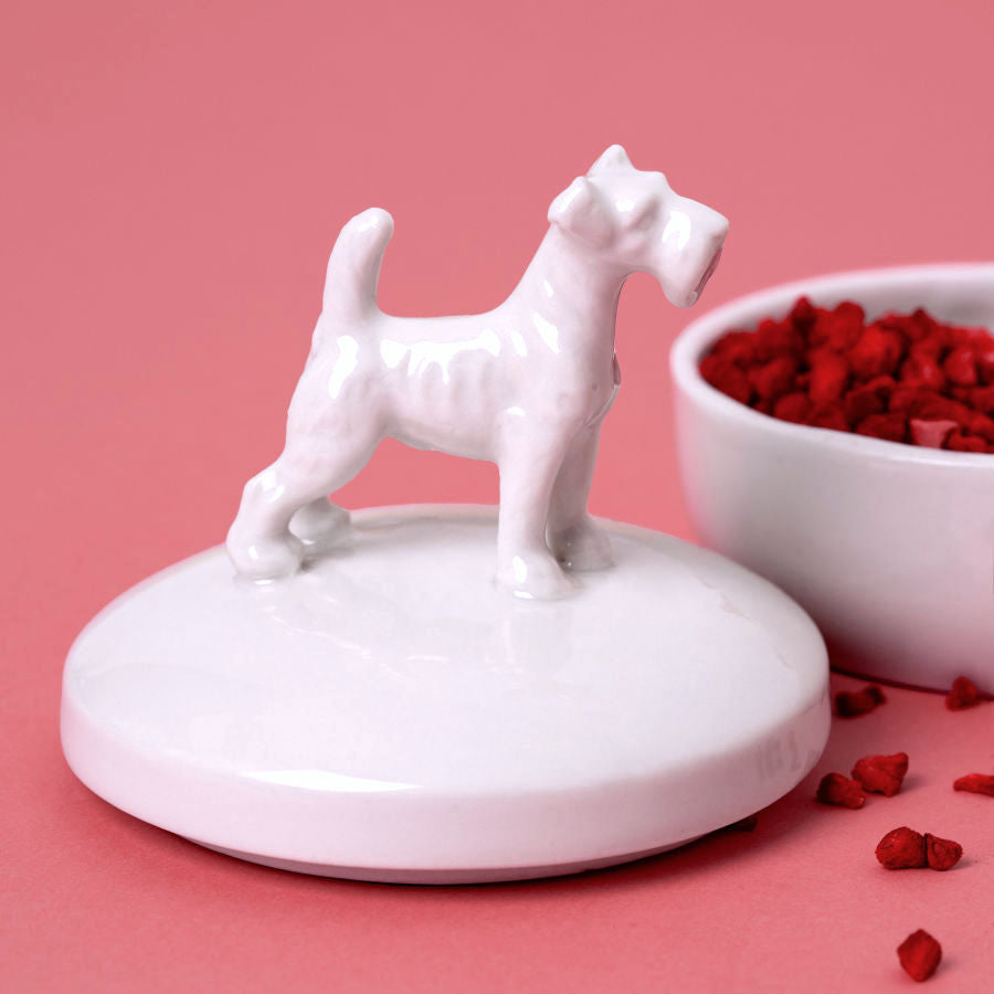 Kleine Porzellandose in weiß mit Schnauzer auf dem Deckel