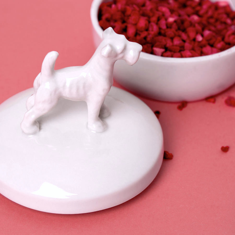 Kleine Mini Porzellandose mit Schnauzer auf dem Deckel