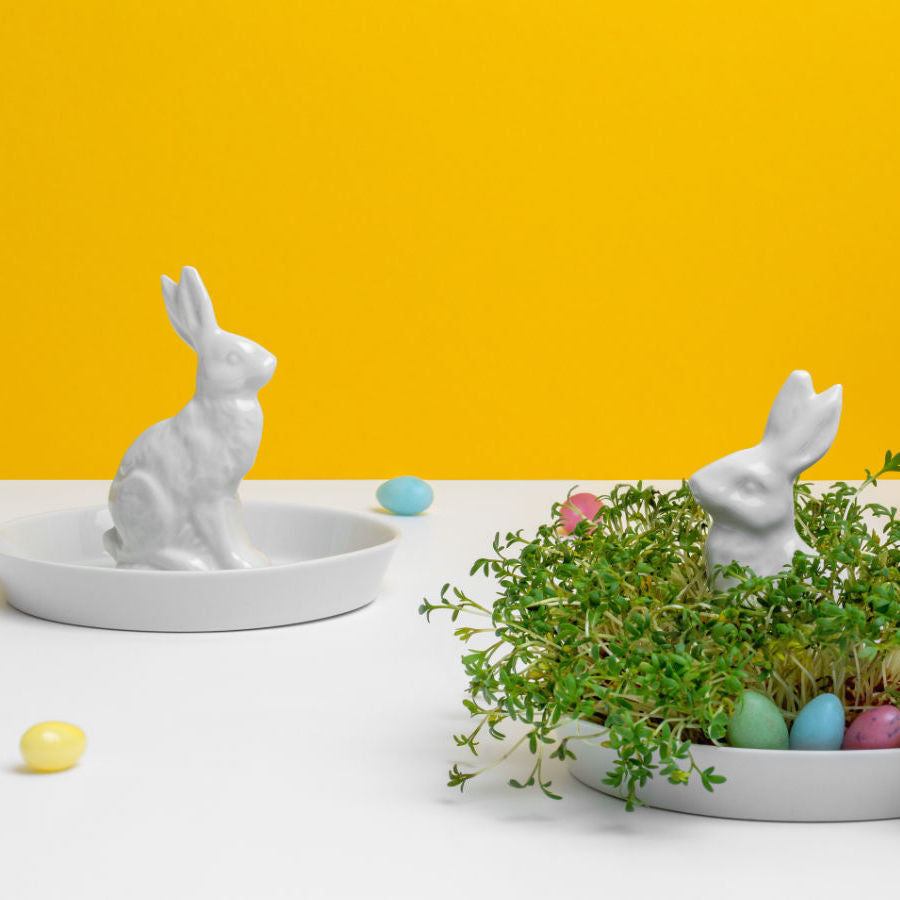 Porzellan Hasenteller mit Kresse bepflanzt. Feinesweisses Berlin.