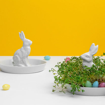 Porzellan Hasenteller mit Kresse bepflanzt. Feinesweisses Berlin.